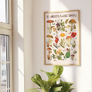 Suche nach vintage biologie poster Botanisch