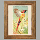 Suche nach vogeldrucke poster Wandkunst
