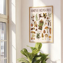 Suche nach vintage wand poster Natur