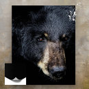Recherche de ours noirs posters Porter