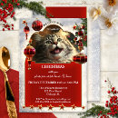 Recherche de chat noël invitations Drôle