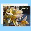Suche nach aloha blumen postkarten Botanisch