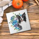 Suche nach border collie fliesen Blumenreich
