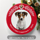 Recherche de chiens chats ornements Photo de l'animal