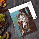 Suche nach weiße eule postkarten Vogelvogel