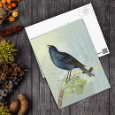 Recherche de oiseau chanteur cartes postales Aquarelle