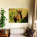 Suche nach wallaby poster Känguru