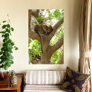 Recherche de singe posters Animal