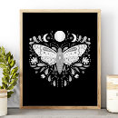 Suche nach motten poster Illustration