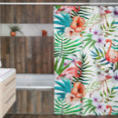 Recherche de fleur de paradis Hibiscus