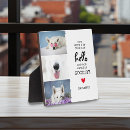 Recherche de animaux mémoriaux Collage photo