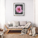 Recherche de rosier posters Rose