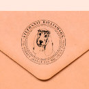 Recherche de basset hound Dog