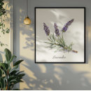 Suche nach lavendel poster Für sie