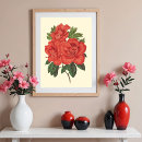Suche nach antiquitäten poster Blumen
