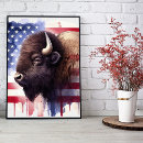 Recherche de bison américain posters Étoiles et bandes