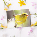Recherche de chardonnerets cartes postales Photographie