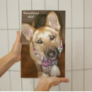 Recherche de inconditionnel posters Animal