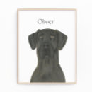 Suche nach great dane poster Schwarzer däne