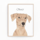 Recherche de chien domestique art Rouge