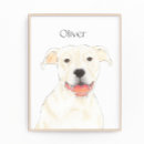 Recherche de chien pitbull posters Mère de chien