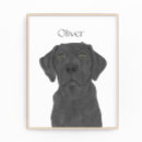 Suche nach labrador druck poster Schwarzes labor