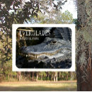 Suche nach florida everglades magnete Alligator