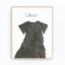 Suche nach schnauzer hunde poster Personalisiert
