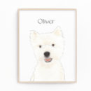 Recherche de westie poster Blanc