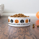 Recherche de jack o lantern animaux articles Halloween
