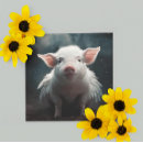 Suche nach wenn schweine fliegen postkarten Schweinekarte