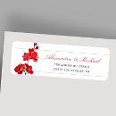 Suche nach orchideen blumen Blumenreich