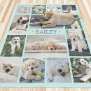Recherche de animal photo blankets Dogs