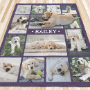 Recherche de memorial collage Dogs
