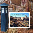 Suche nach sheep magnete Bighornschaf