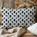 Recherche de cat Amoureux de les chats