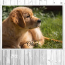 Recherche de dog posters Personnalisation