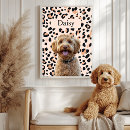 Suche nach haustier kunst Foto