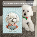 Recherche de superhéros cartes postales Pour tous