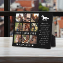 Recherche de photos de cheval Équestre
