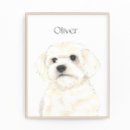 Suche nach havaneser poster Personalisiert