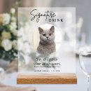 Recherche de chat mariages Chien