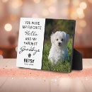Recherche de salutation animaux articles Pour tous