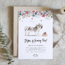 Recherche de chien vintage invitations Dog