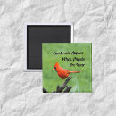 Suche nach bequemlichkeit magnete Engel