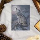 Recherche de loup de clair lune posters Montagne