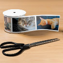 Recherche de films rubans Mignon