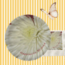 Recherche de chrysanthèmes blancs Pour tous