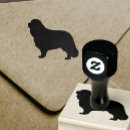 Recherche de charle de roi Animaux familiers