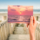 Suche nach florida sonnenuntergang postkarten Tropisch